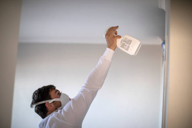 Best Affordable Mold Removal  in Fredonia, NY