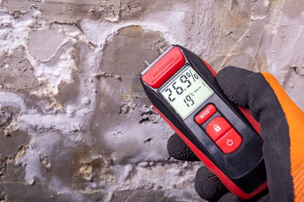 Best Best Mold Removal Companies  in Fredonia, NY
