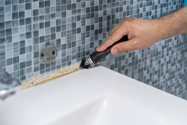 Best Mold Cleaning Services  in Fredonia, NY