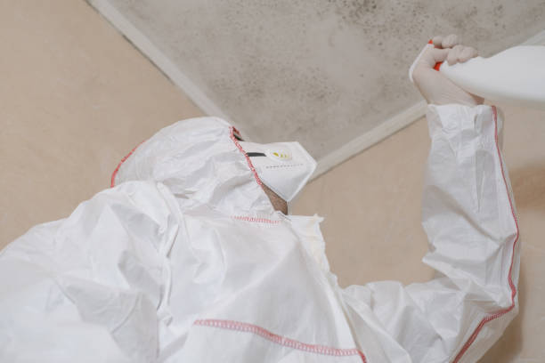 Fredonia, NY Mold Removal Company