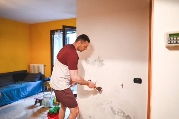 Best Water Damage Restoration  in Fredonia, NY