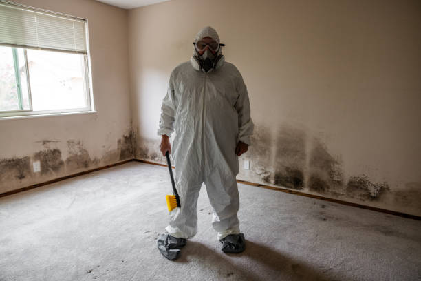 Best Certified Mold Removal  in Fredonia, NY